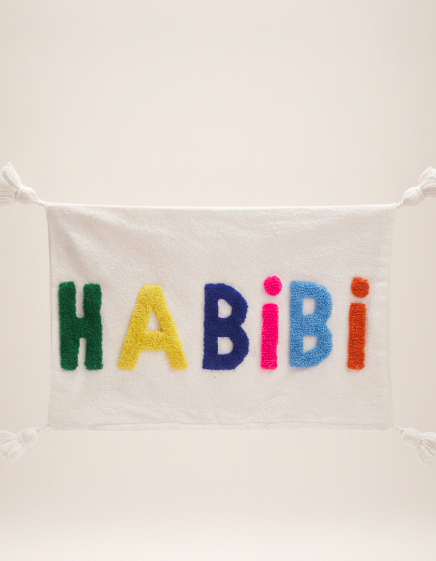 Coussin HABIBI brodée colorée