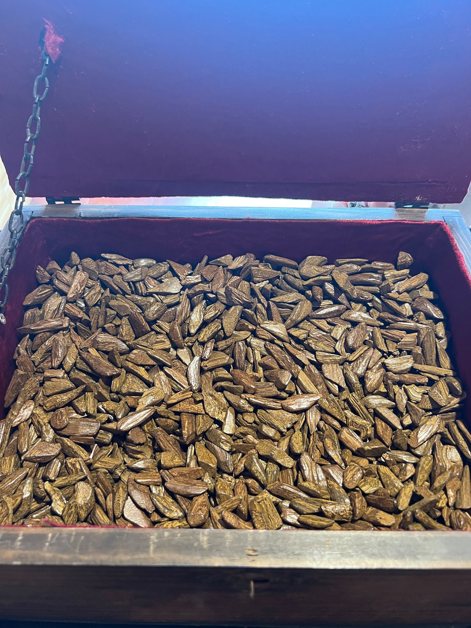 Raw Oud Wood Chips